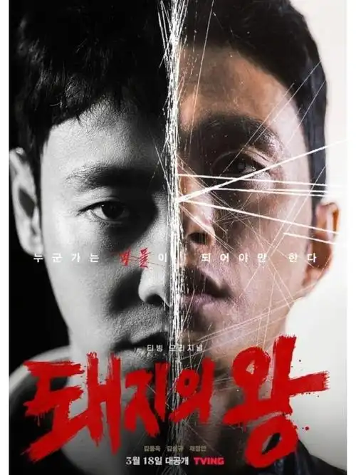 飞鸟影视 狂飙 高清电视剧在线观看